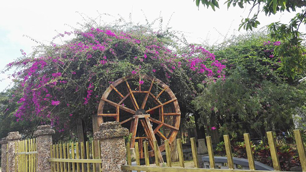 奧鵬教育南寧學(xué)習(xí)中心（直屬）學(xué)生戶外活動(dòng)回顧