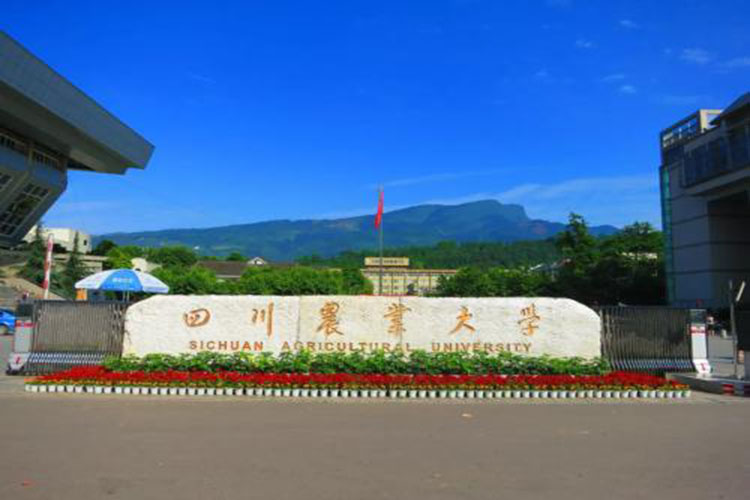 四川農(nóng)業(yè)大學?？茖W歷怎么升本科比較好