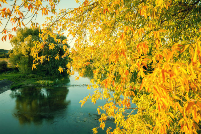 農(nóng)業(yè)電氣化專升本學(xué)習(xí)多久能夠申請(qǐng)畢業(yè)？