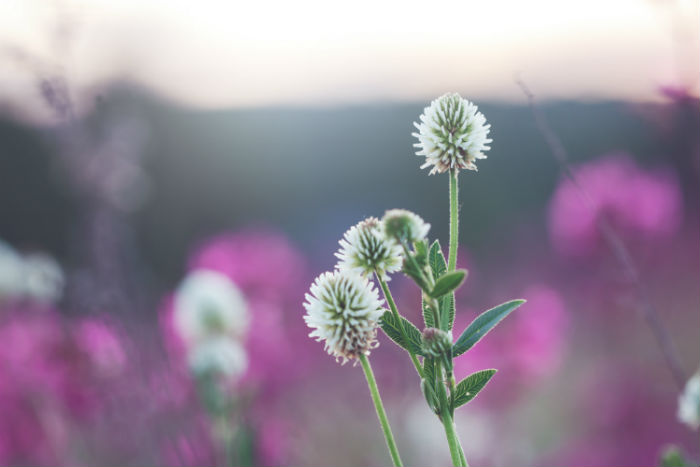人力資源管理專升本要什么條件？什么條件能滿足報名？