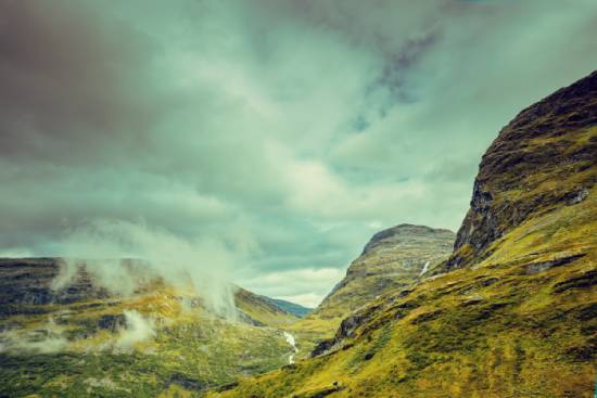 東北農(nóng)業(yè)大學對專升本網(wǎng)絡(luò)教育畢業(yè)證學位證獲取是怎樣的規(guī)定的？