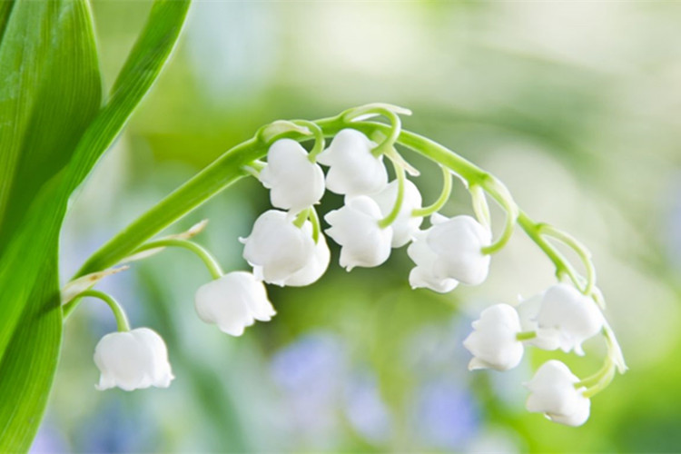 珠海專升本考試科目有多少門？有哪些？