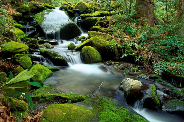 專升本英語(yǔ)專業(yè)報(bào)考哪個(gè)大學(xué)好？