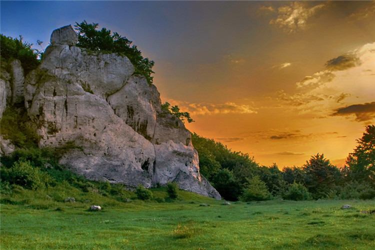 電子科技大學(xué)有沒有專升本？怎么報(bào)名？