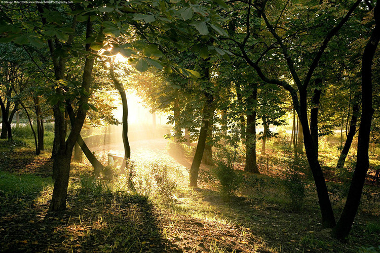 海口專升本的途徑有哪些？