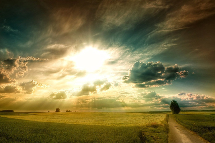 中山專(zhuān)升本如何報(bào)名？