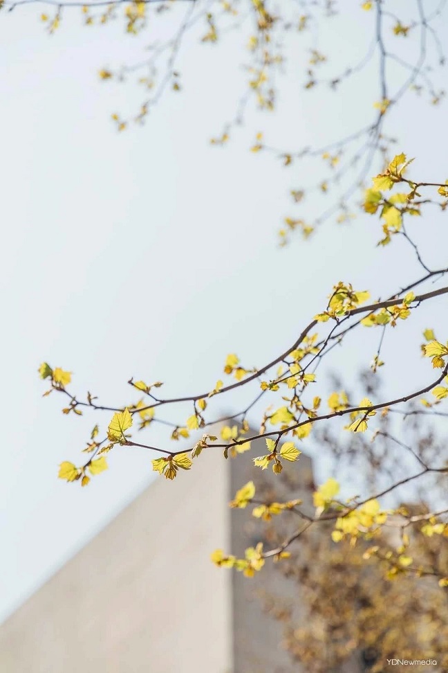 實(shí)不相瞞，我從未如此想開學(xué)