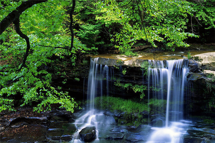南充成人快速提升學歷的方式有哪些？