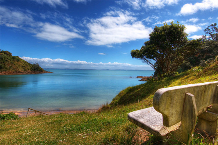 英語專業(yè)網(wǎng)絡(luò)教育?？粕究茖W(xué)校