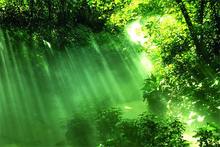 十堰學歷提升機構哪家好？