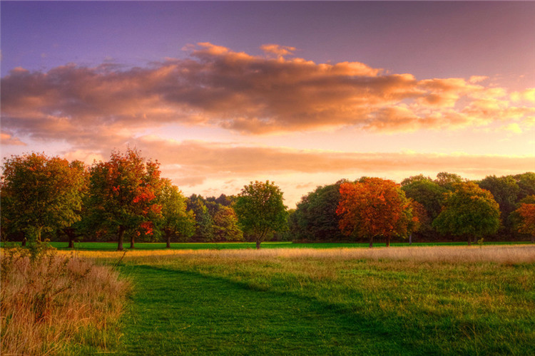 英語專業(yè)專升本有哪些方式？