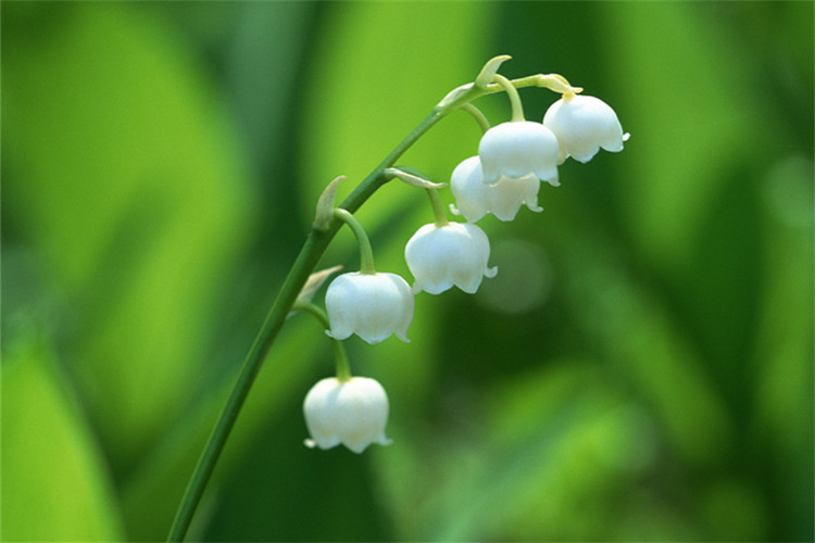 專升本土木工程考什么？