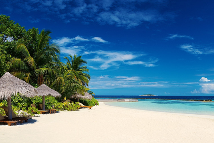 山東專升本土木工程可以報(bào)哪些學(xué)校？