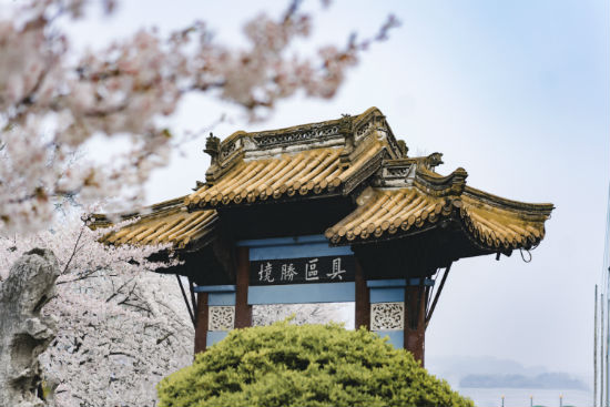 西南大學(xué)專升本報名截止時間是什么時候？