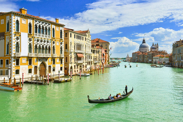 想報名北京中醫(yī)藥大學專升本的中藥學專業(yè)怎么樣？