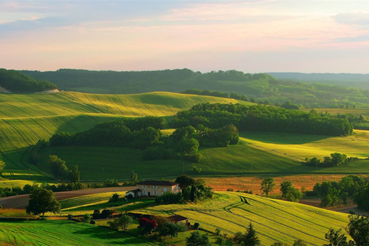 鐵嶺?？粕究颇茉诰W(wǎng)上報(bào)名嗎？怎么報(bào)？