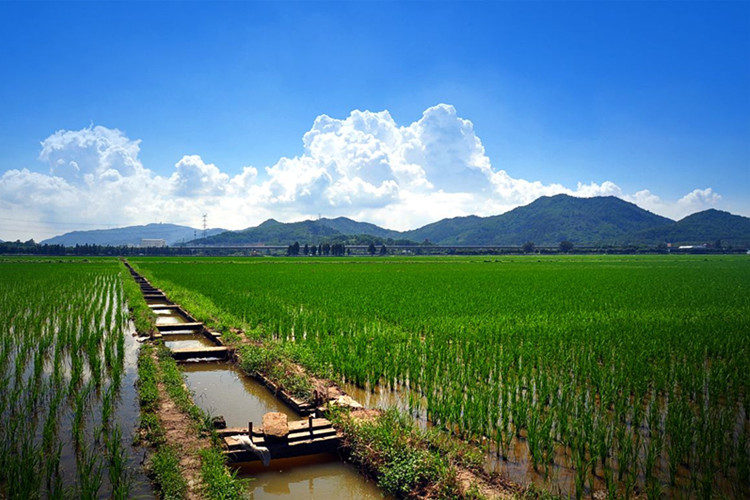 保山上班族怎么快速提升學(xué)歷？