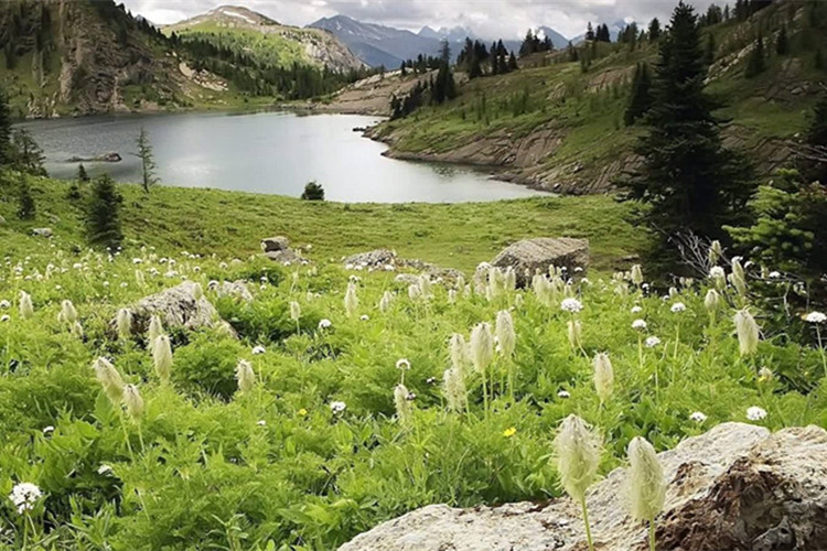 北京中醫(yī)藥大學(xué)網(wǎng)絡(luò)教育學(xué)費(fèi)要多少？