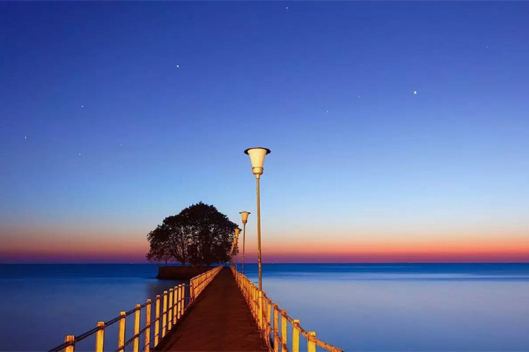 天津大學(xué)網(wǎng)絡(luò)教育免試入學(xué)要什么條件？