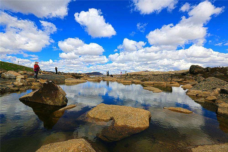 錫林郭勒盟學(xué)歷提升哪家好？