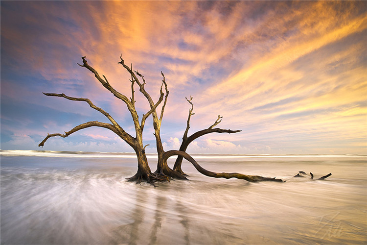 迪慶藏族自治州學(xué)歷提升哪家機(jī)構(gòu)好？