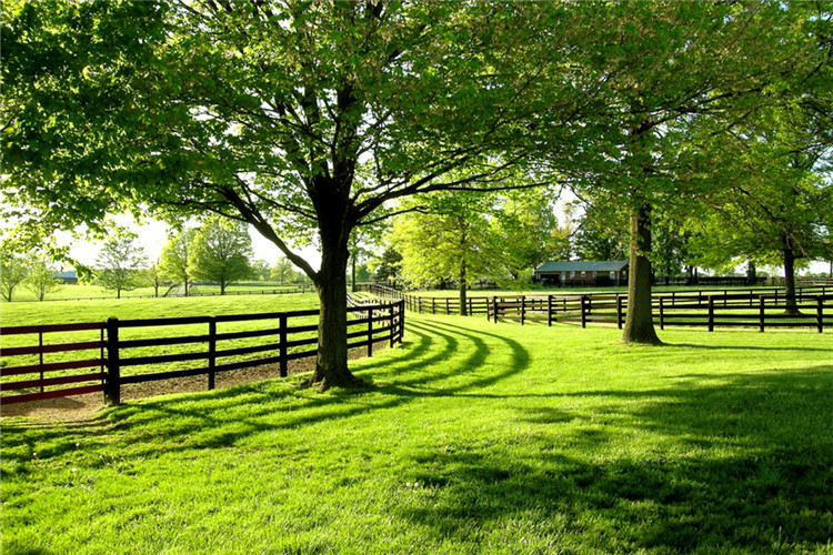 迪慶藏族自治州專升本院校有哪些?