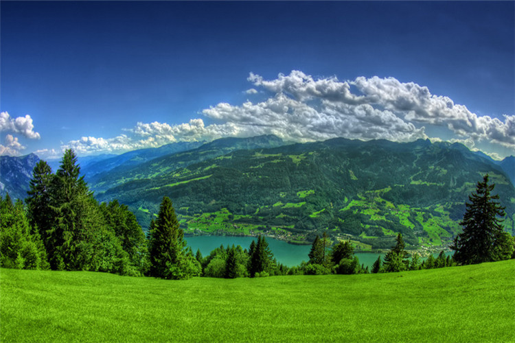 慶陽?？粕究频脑盒Ｅ琶? /></p><p style=