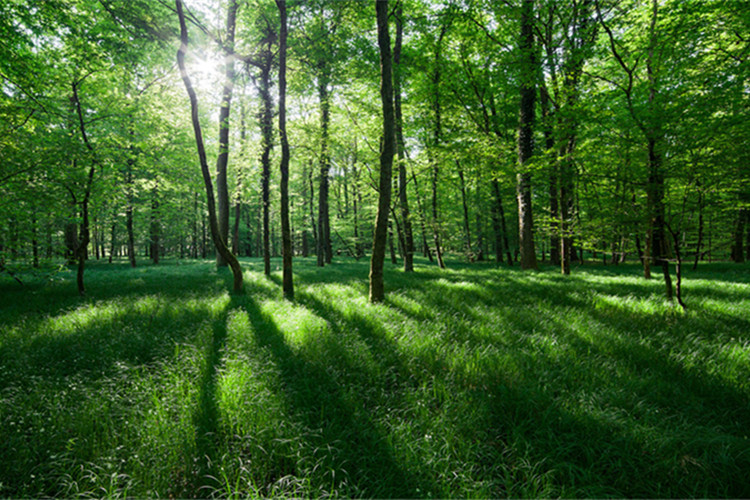 隴南上班族提升學(xué)歷的靠譜機(jī)構(gòu)有哪些?