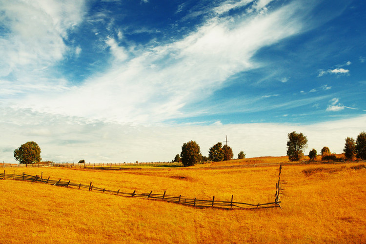 伊犁哈薩克自治州成人專科升本科有哪些學(xué)?？梢詧罂?？