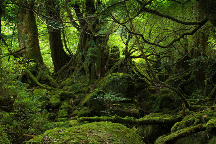 物理學自考專升本主要考哪些科目？好過嗎？