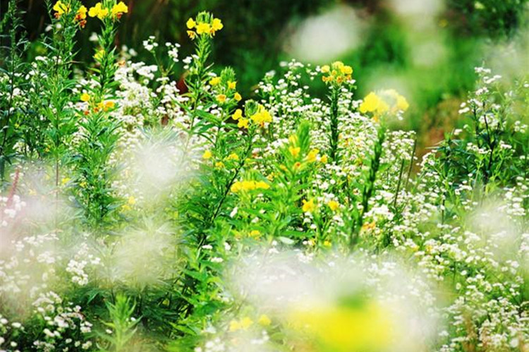 中國石油大學(xué)（北京）自考通過率高嗎？