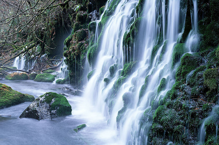 三明學(xué)歷提升哪種方式快？