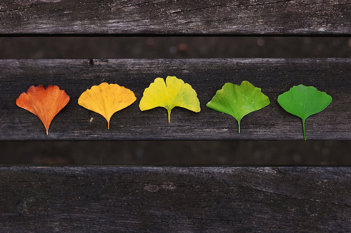 專(zhuān)升本備考，用行動(dòng)來(lái)贏(yíng)一個(gè)不怨不悔，你具備這幾條心態(tài)嗎？