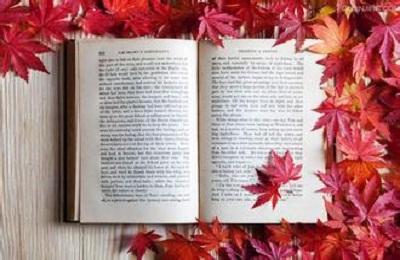 ?？粕佳校铌P(guān)心的14個(gè)問題