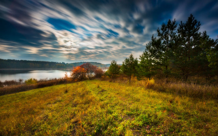 生物科學(xué)專升本報名需要交納多少學(xué)費?