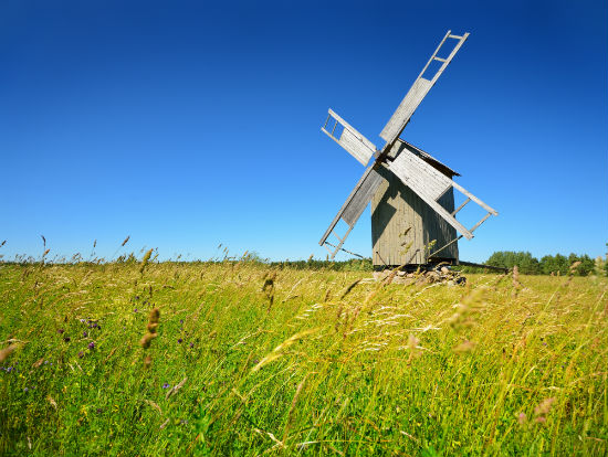 華中師范大學(xué)遠程教育是如何要求免試入學(xué)的？