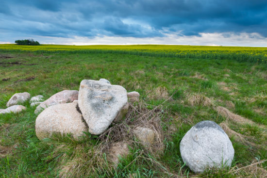 ?報名人力資源管理專升本需要準(zhǔn)備學(xué)費多少錢？