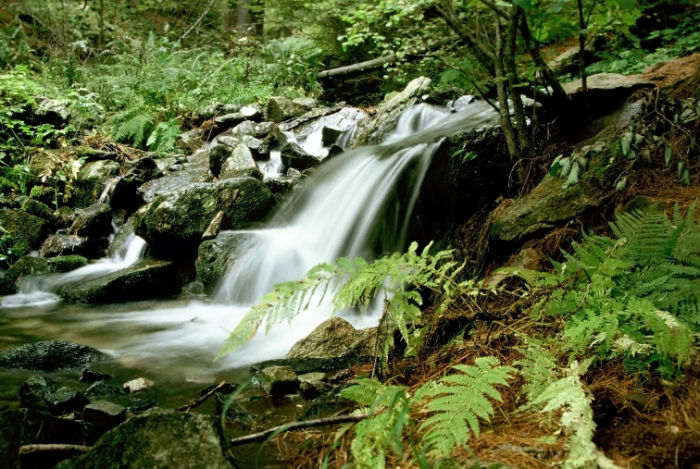 上海專升本培訓機構哪家好？