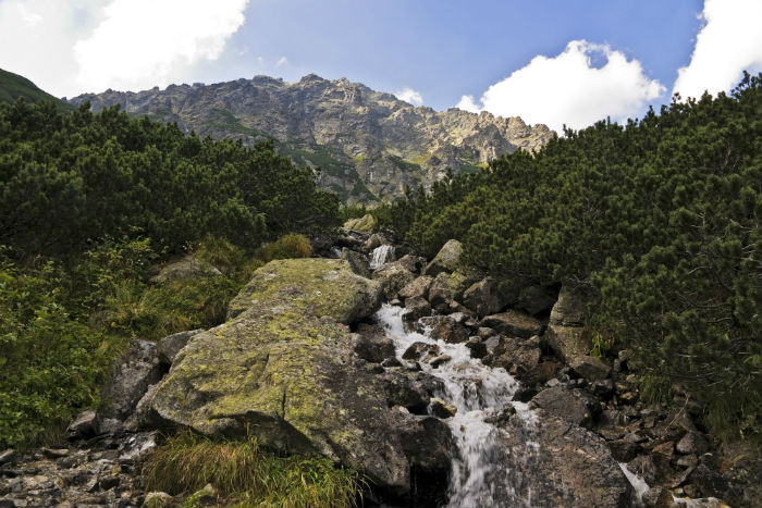 上海專升本學歷和畢業(yè)文憑有什么用嗎?