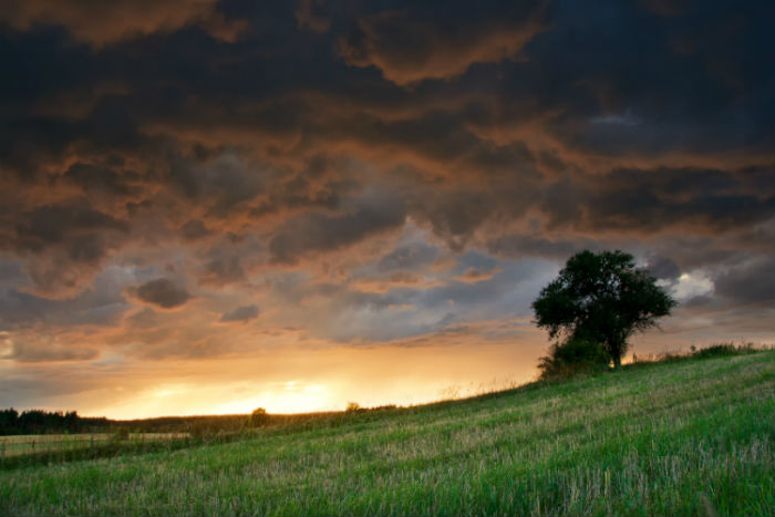 宣城專升本規(guī)定報(bào)名時(shí)間是從什么時(shí)候開(kāi)始的和報(bào)名官方途徑是哪兒？
