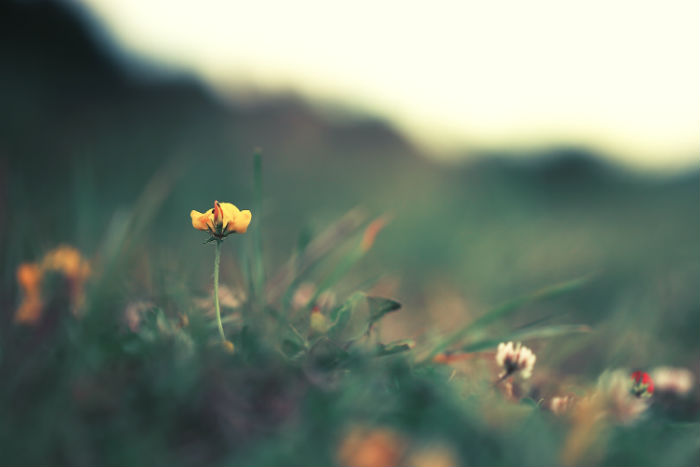 天津?qū)I緢?bào)名時(shí)間2020