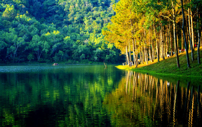 漳州專升本機構