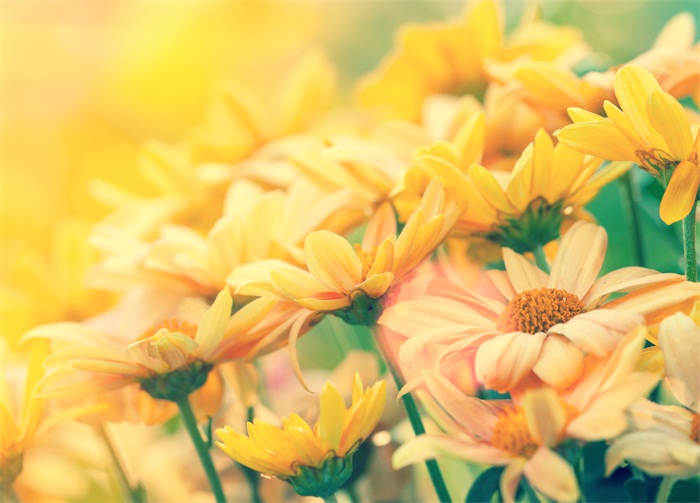 牡丹江市專升本培訓機構在哪