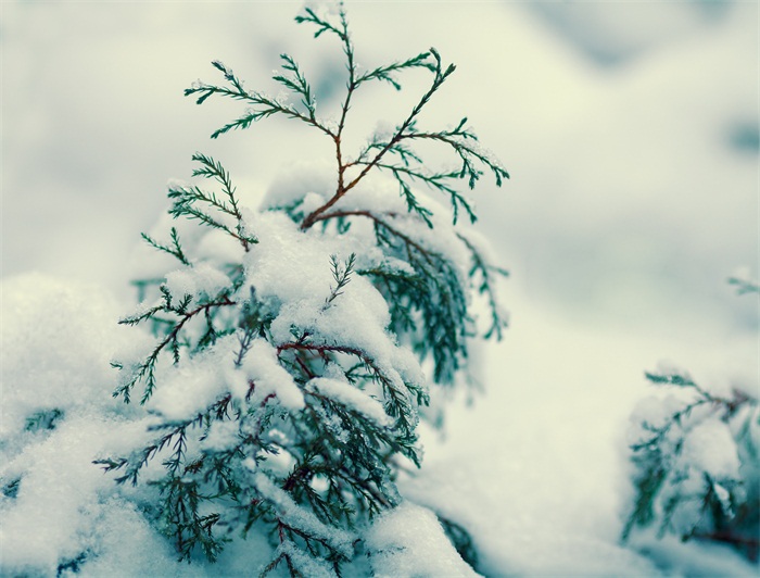 平涼專升本怎么收取學費