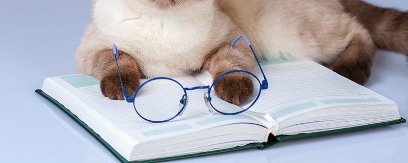 北京語(yǔ)言大學(xué)遠(yuǎn)程教育統(tǒng)考能補(bǔ)考嗎