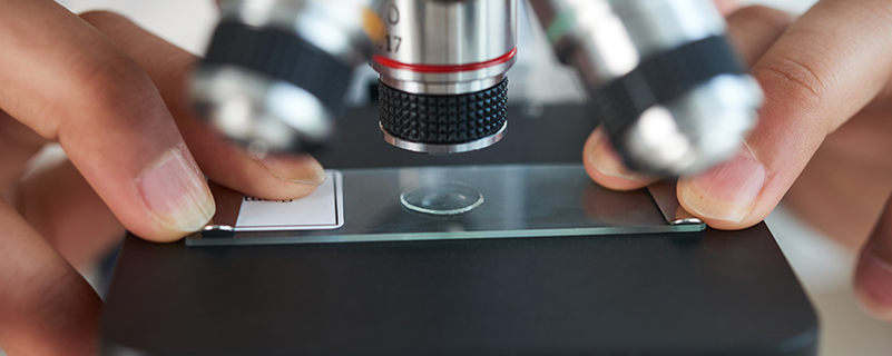 網(wǎng)絡教育專升本需要大專證么