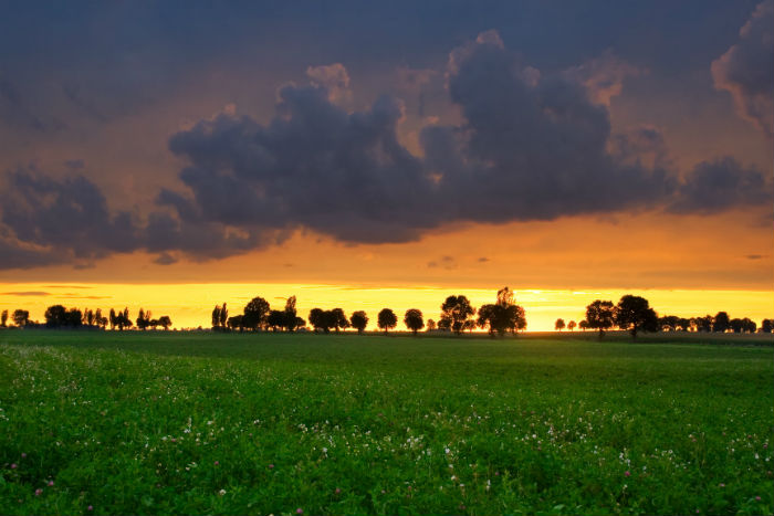 四川網(wǎng)絡(luò)教育計(jì)算機(jī)科學(xué)與技術(shù)專業(yè)可以報考哪些院校