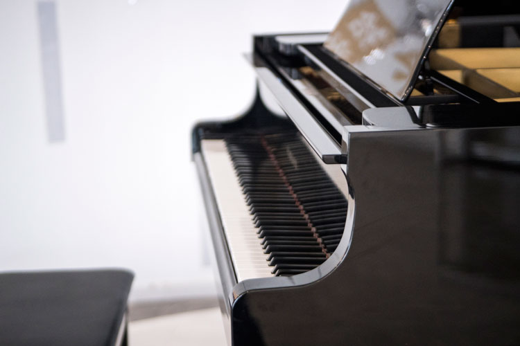 網(wǎng)絡(luò)教育什么專業(yè)好就業(yè)？