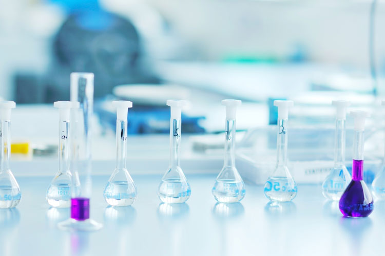 四川農(nóng)業(yè)大學(xué)農(nóng)學(xué)專業(yè)升本怎么樣