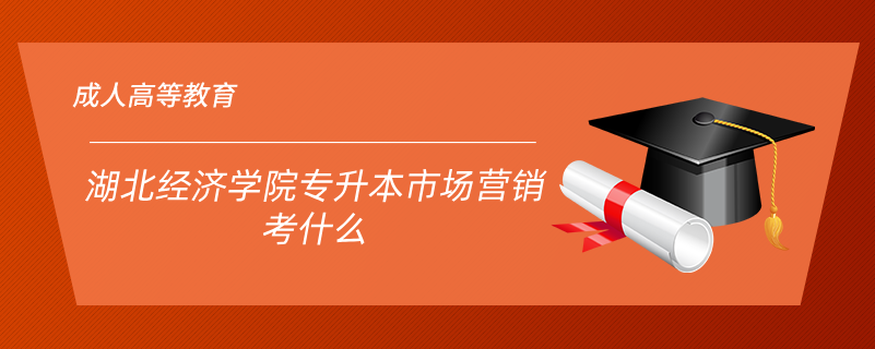 湖北經濟學院專升本市場營銷考什么
